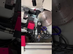 LDX-020A বৃত্তাকার পেষকদন্ত ব্লেড গ্রিলিং মেশিন